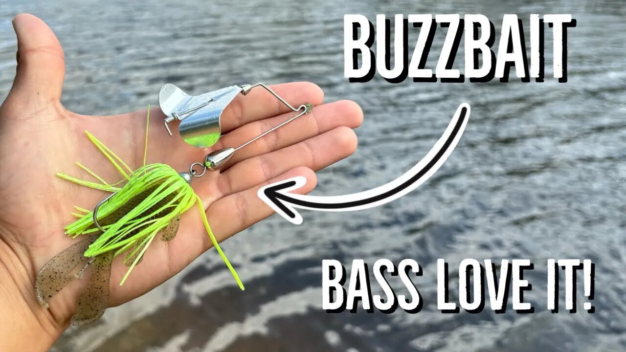 The Basics of fishing Buzzbaits! | How to fish for Buzzbait Bass!