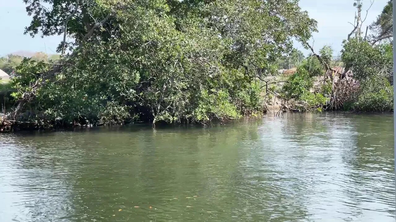 Rollin4freedom the people’s convoy at home with rollin