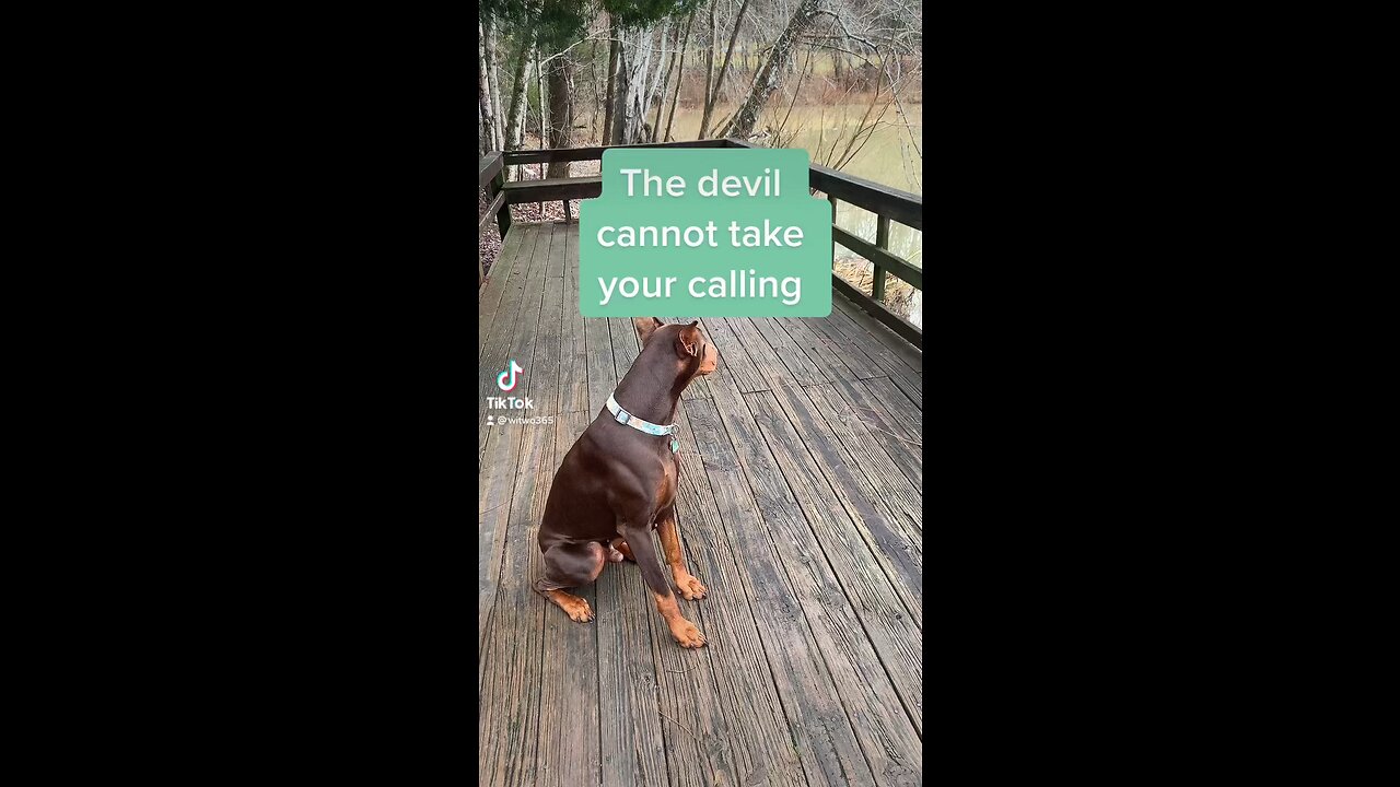 The devil cannot take your calling