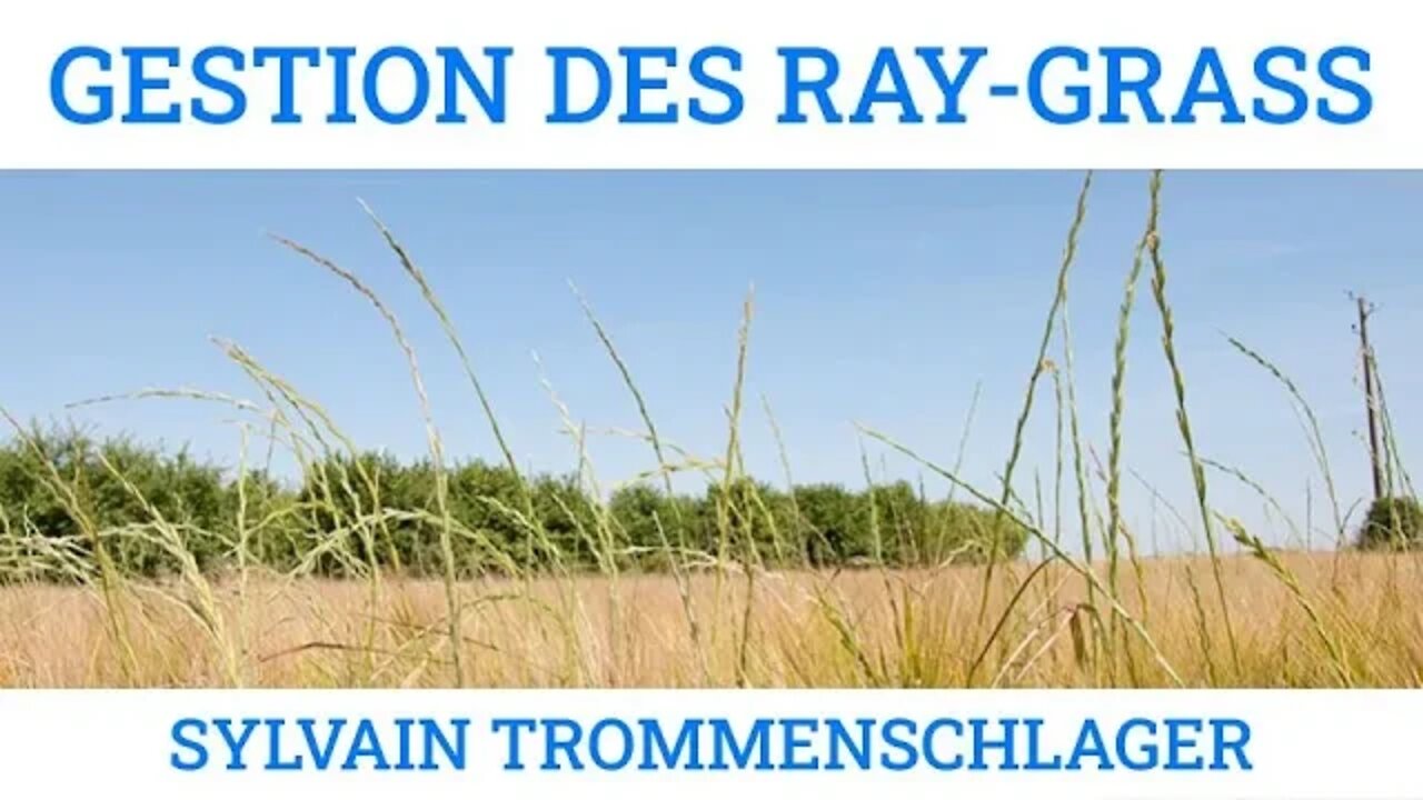 GESTION DES RAYGRASS RÉSISTANTS - Sylvain TROMMENSCHLAGER