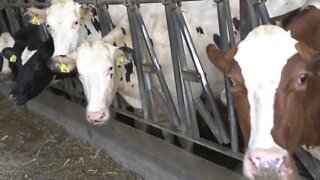 July's 3 Degree Guarantee: Jackson County 4-H