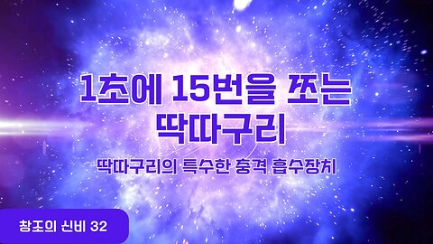 성경!과학!창조의 신비!1초에 15번을 쪼는 딱다구리