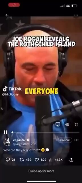 Epstein friends island.. 🏝️