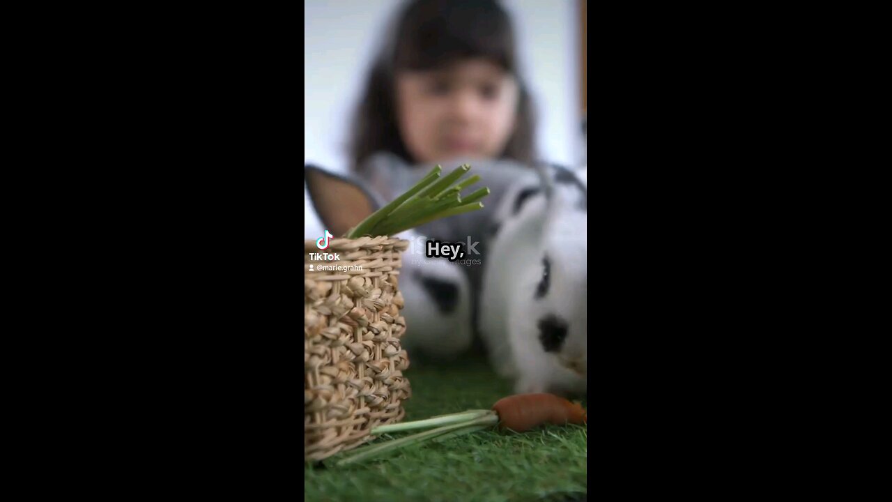 Join the hilarious garden showdown as Benny the Bunny tries to munch on some veggies