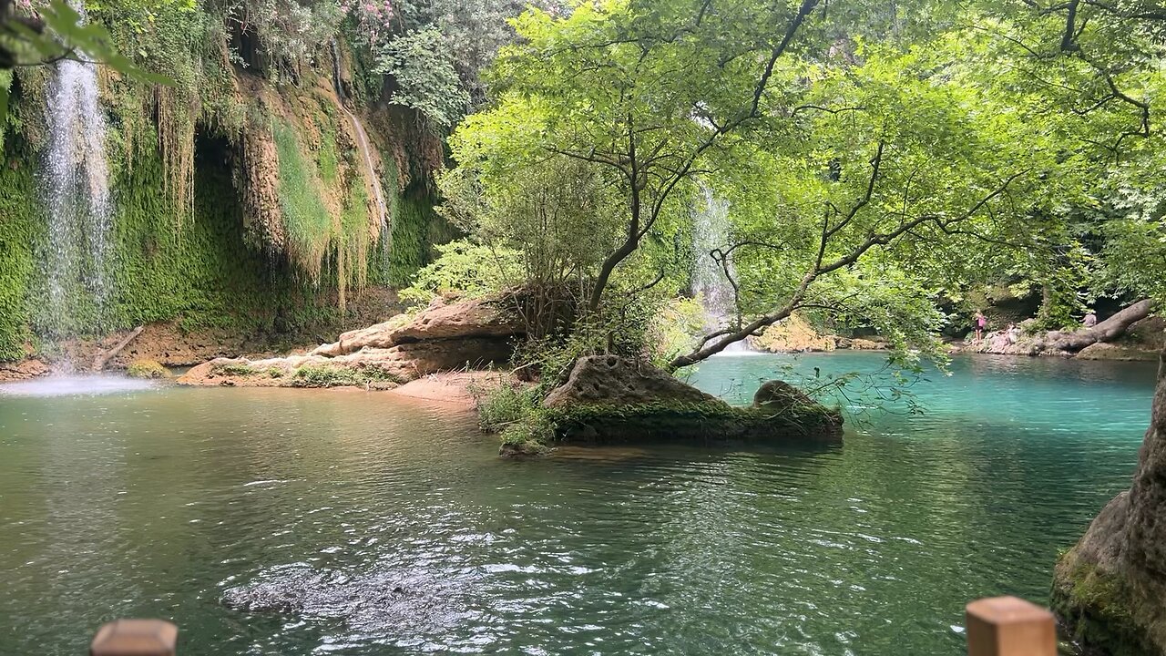 Kurşunlu gül