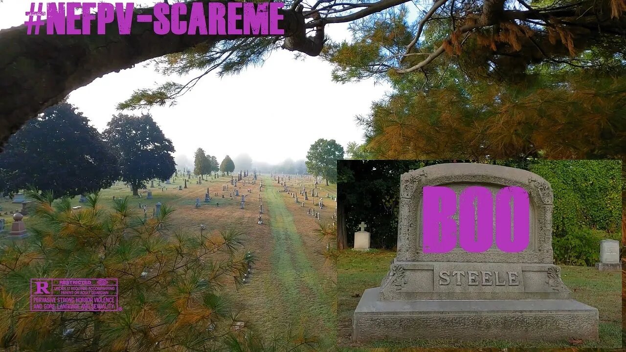 RIP in Peace ✌ #NEFPV_SCAREMECHALLENGE