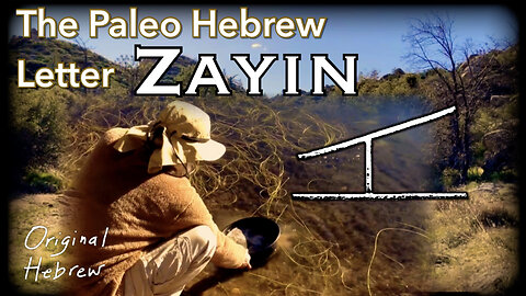 7. Zayin | Paleo Hebrew Alphabet | Refiner’s Fire, Gold Digging, and more