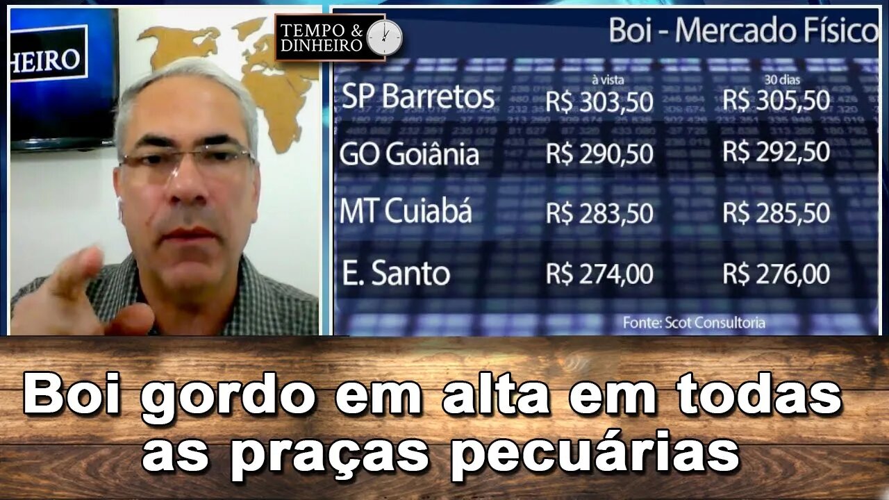 Boi gordo com tendência de alta em todas as praças pecuárias. B3 com liquidação financeira