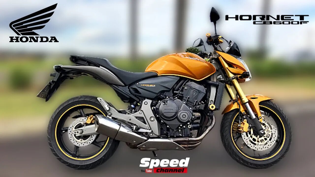 Testando Honda CB 600 F Hornet 2010 | Análise Completa | Speed Channel