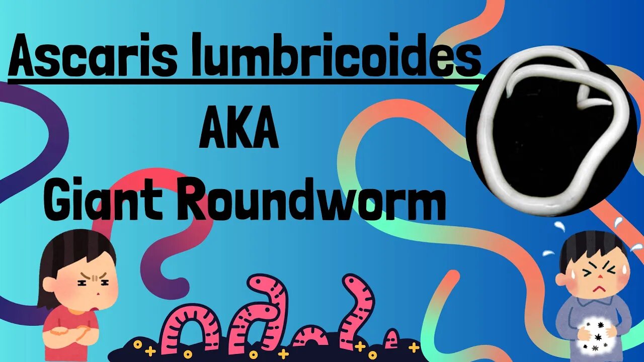 Ascaris Lumbricoides lecture | Giant Roundworm in Humans complete lecture MADE EASY