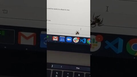 A friend sent me this video he took