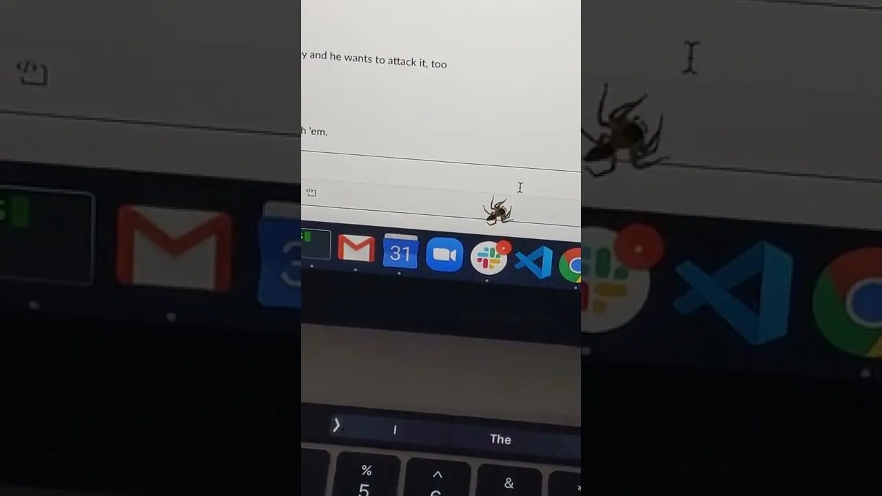 A friend sent me this video he took