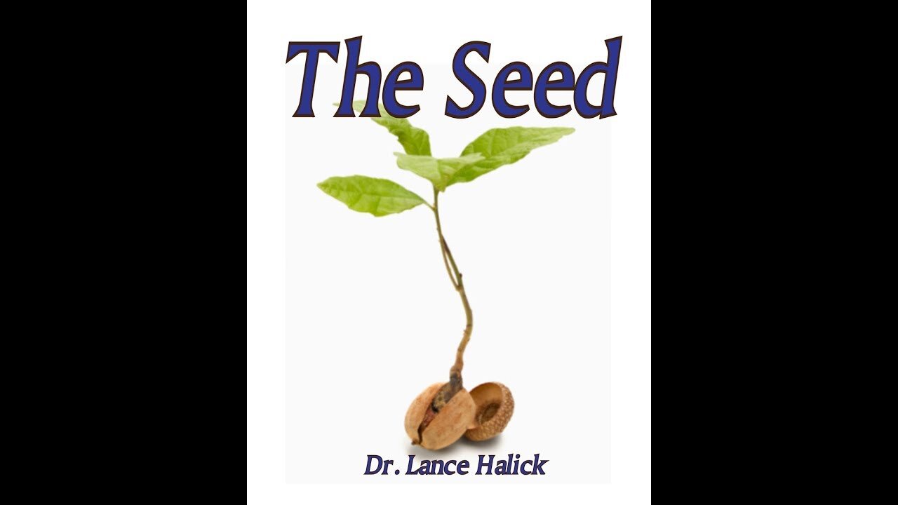 The seed Pt 2