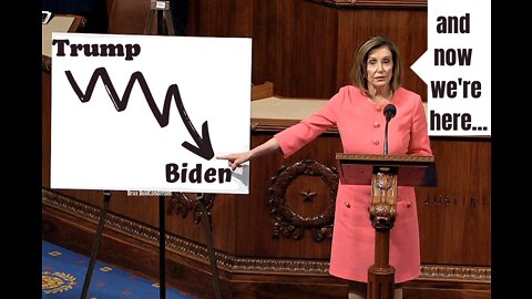 NANCY PELOSI is like a cigarette pack warning aimed at US voters and winos