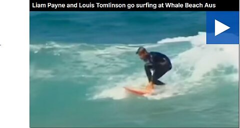 Liam Payne and Louis Tomlinson go surfing at Whale Beach Aus