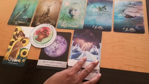 #tarot#virgo Virgo - Once you stand up, know your worth. True love comes in. This one not for you