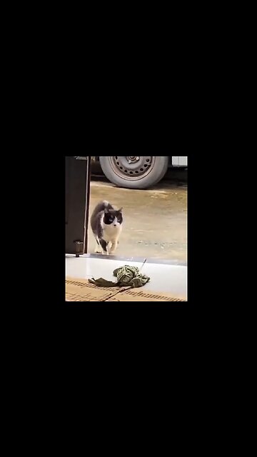 And the Oscar goes to...