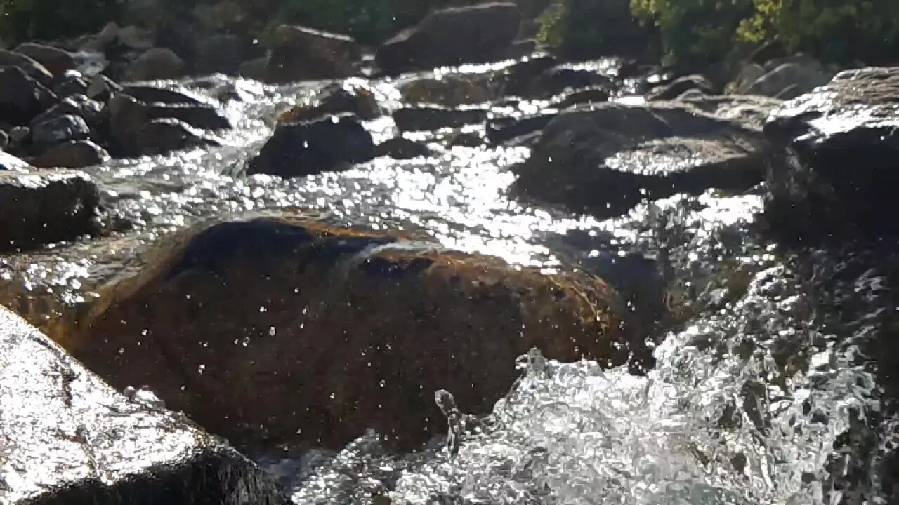 1'DEN ÖNCE SAYI VAR MI?