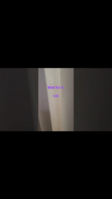 Pinoy, chicken in the bathroom.