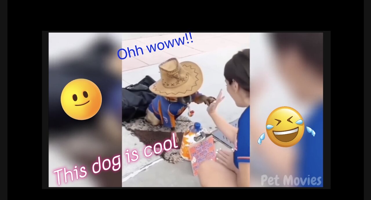 The most best and funny video 😂😂😂😂😁😁 of different animals.