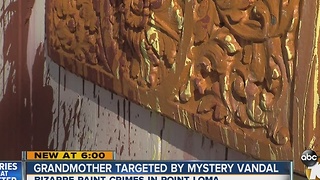 Grandmother targeted by mystery vandal