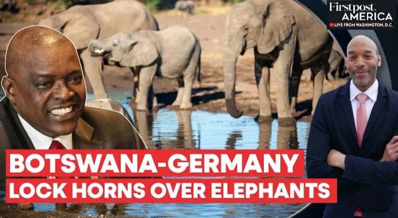 Botswana Threatens to Send 20,000 Elephants to Germany | Firstpost America