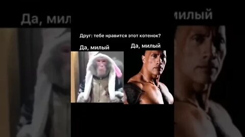 Да, милый