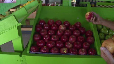 50-year-old Fort Myers fruit stand grows back stronger after Hurricane Ian