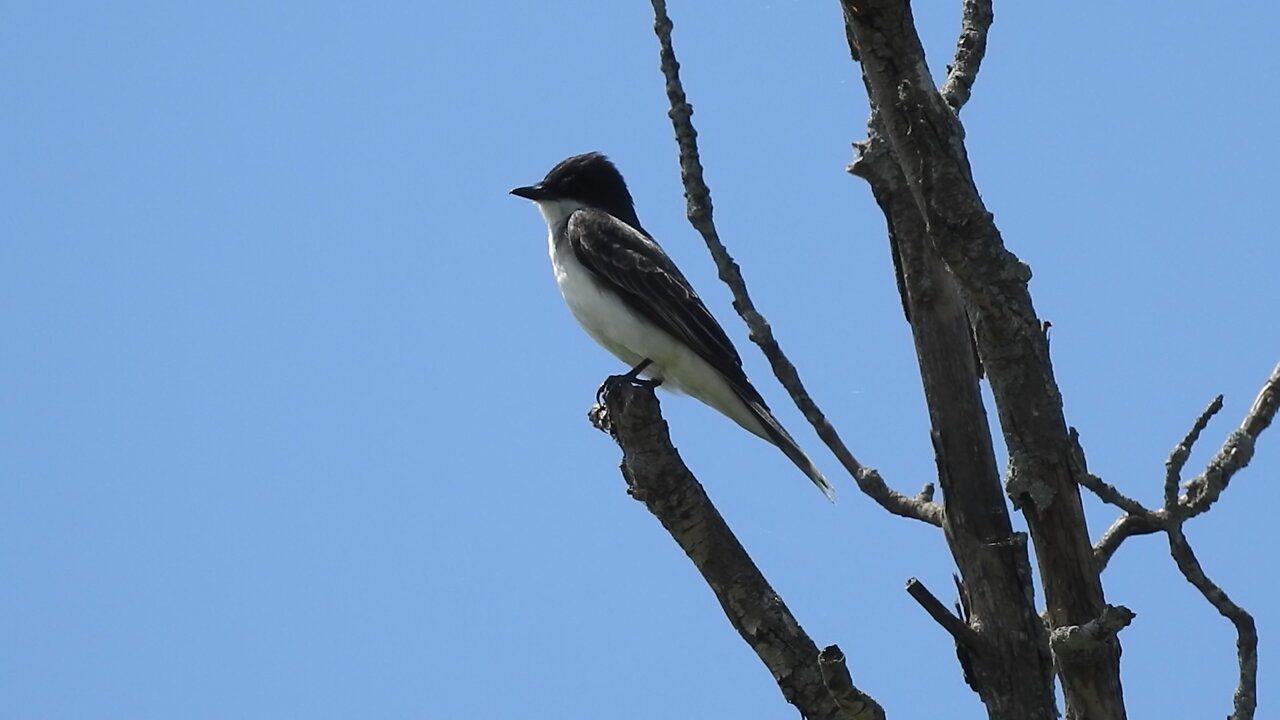 A Trip to Parc national de Plaisance, in the Province of Quebec, Canada