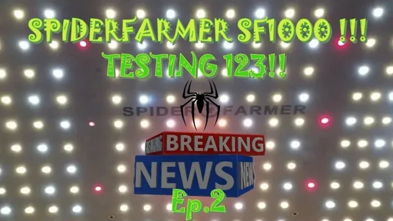 SpiderFarmer SF1000 Testing 123! EP.2 Vegging out!! #SF1000 #SPIDERFARMER