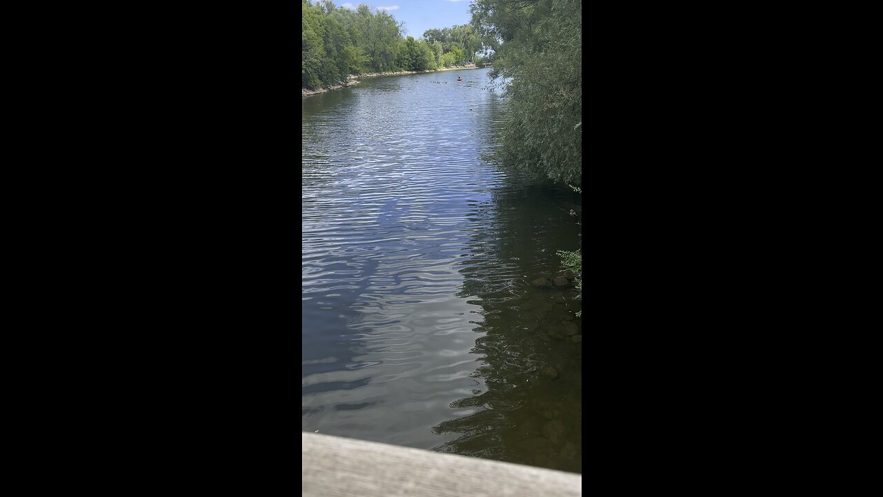 Nature walk 