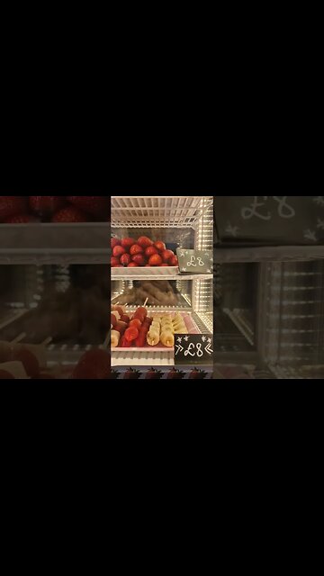 Christmas Market rip-off marshmallows in chocolate £14 WTF #DONTPAYIT