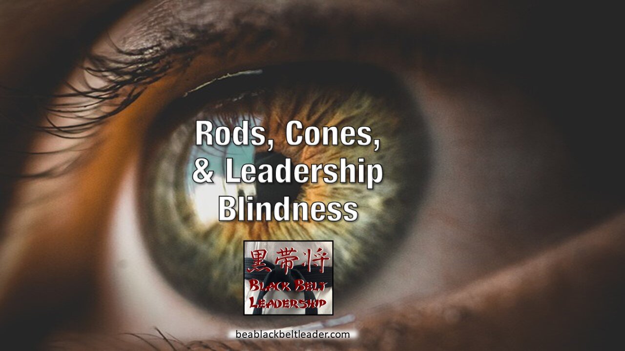 Rods, Cones, and Leadership Blindness