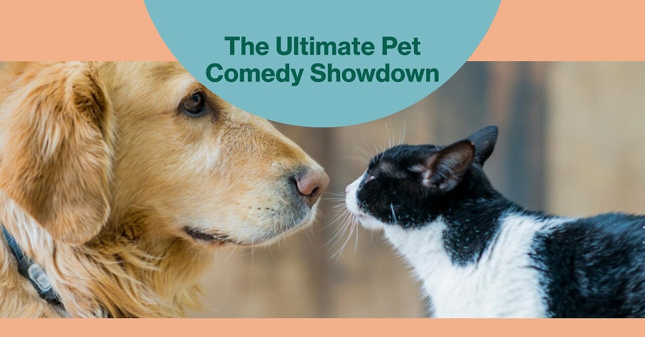 Whiskers vs Wagging Tails The Comedy Clash of Pets