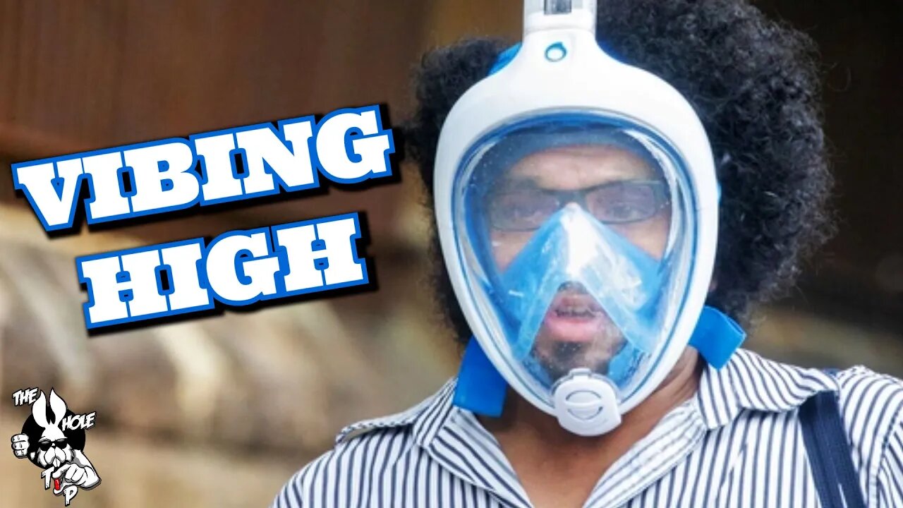 VIBING HIGH - the Whole Tip Daily