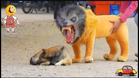 Funny Troll prank of fake lion and fake tiger animals videos 😂