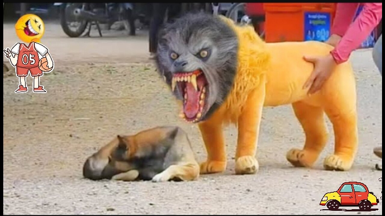 Funny Troll prank of fake lion and fake tiger animals videos 😂