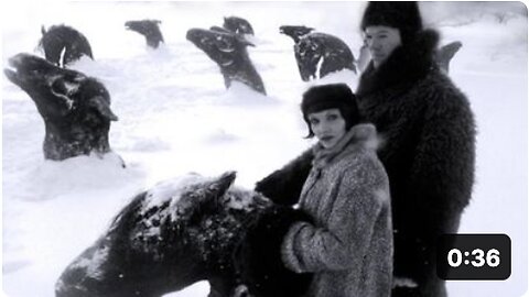Another Old Antarctica Photo Just Discovered