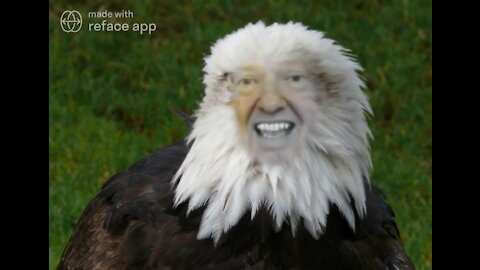 The Ultimate Donald Trump Eagle Meme! 🦅