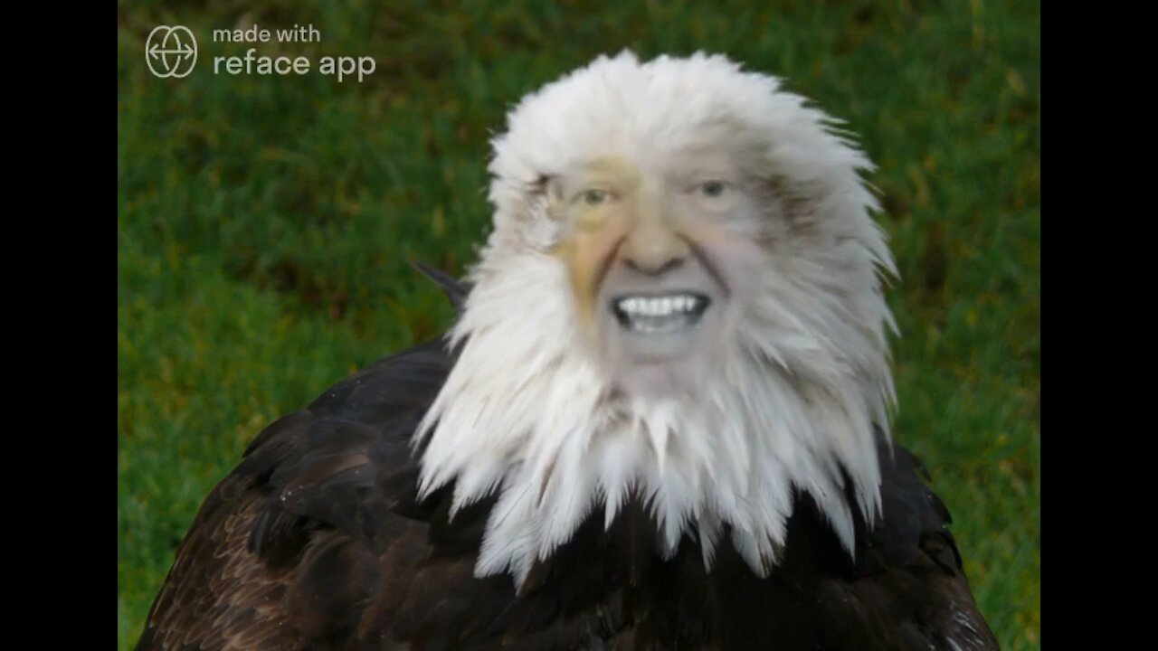 The Ultimate Donald Trump Eagle Meme! 🦅