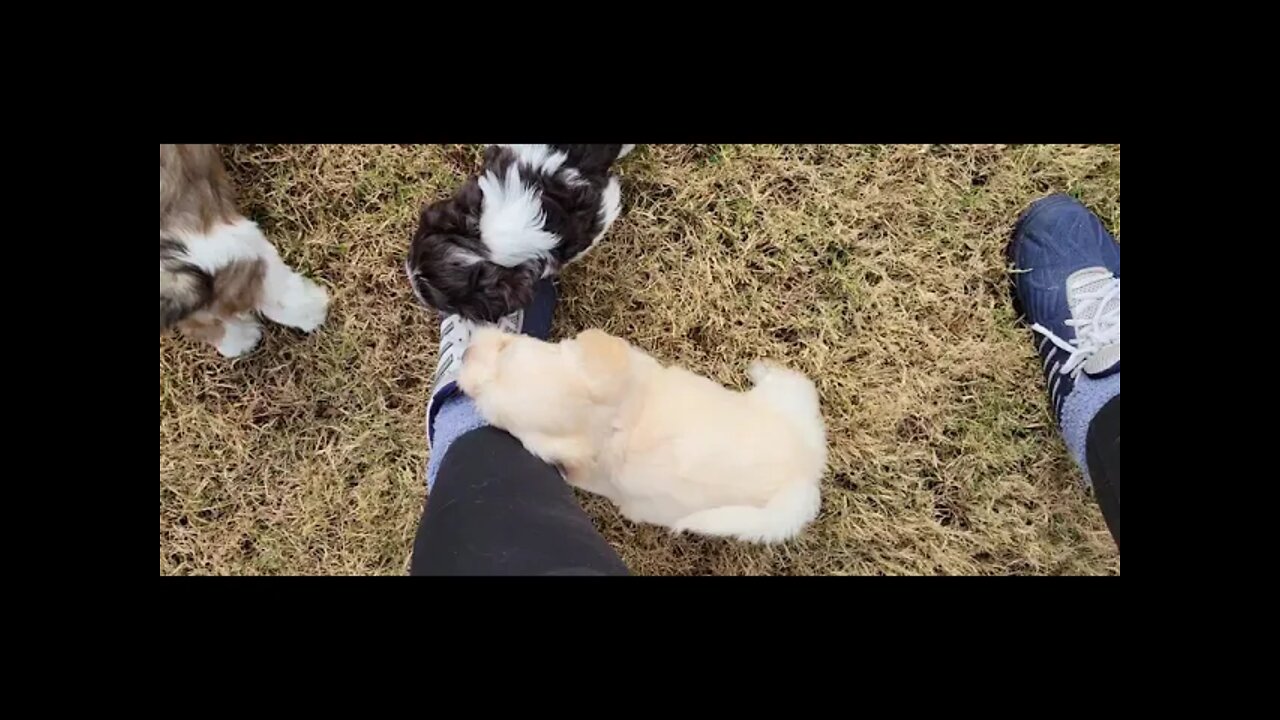 P & Q - First Time Outside(2)
