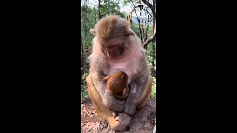 so funny video