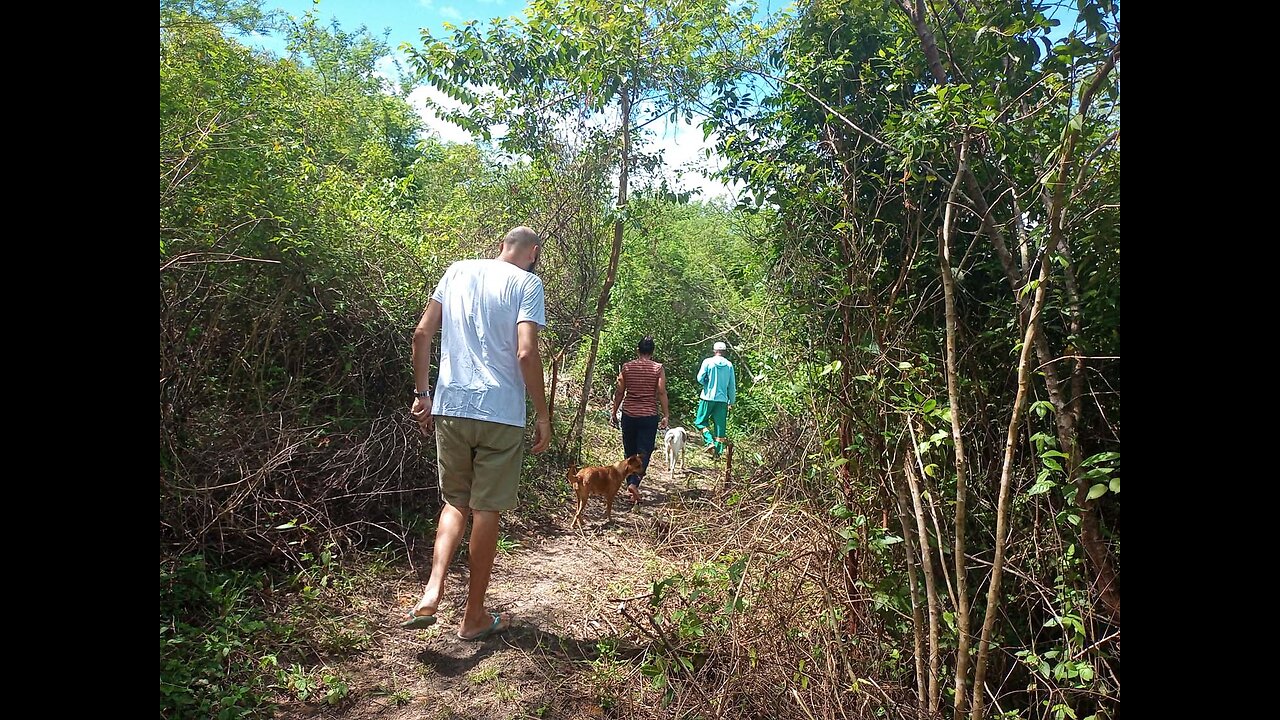 Despejos de água pluviais criam riscos às nascentes de Conceição do Jacuípe