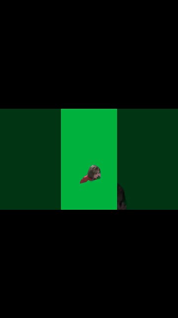 GREEN SCREEN NANCY WICKED WITCH