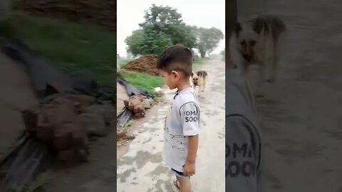 ek villian return child and dog #rudrakrishna #ytshorts #ekvillianreturn #villianjulyreliz #trending