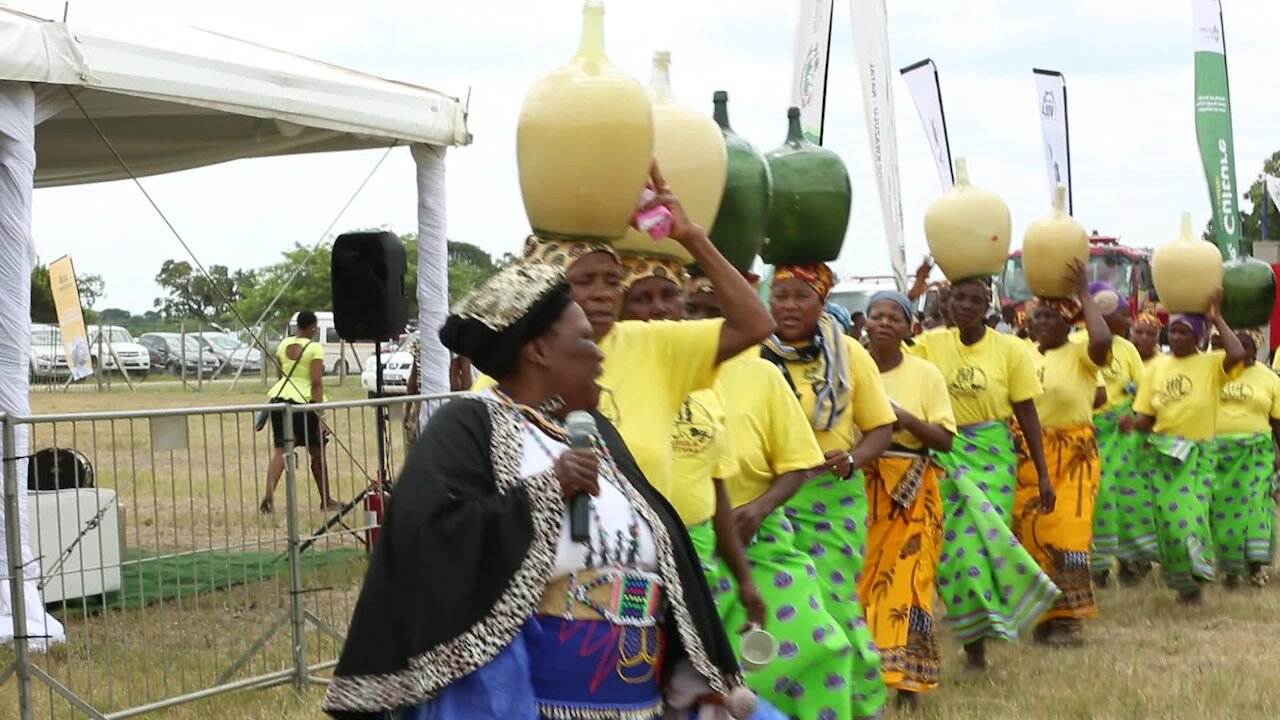 SOUTH AFRICA - Durban - Umthayi marula festival video's batch 8 (v8H)