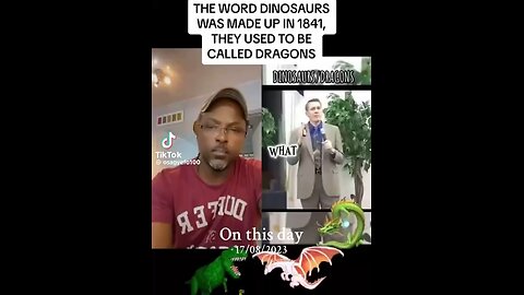 Not Dinosaurs... Dragons