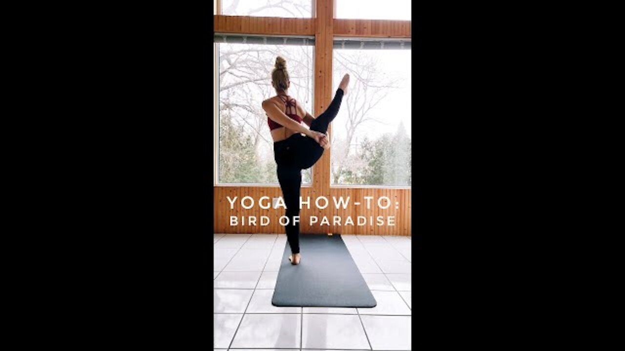 YOGA How-To_ Bird of Paradise Pose __ #shorts