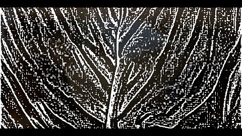 BLOCK é quente na Tailândia! |Fl Ft.​⁠ | Episódio 1 | Jornada para ZIN