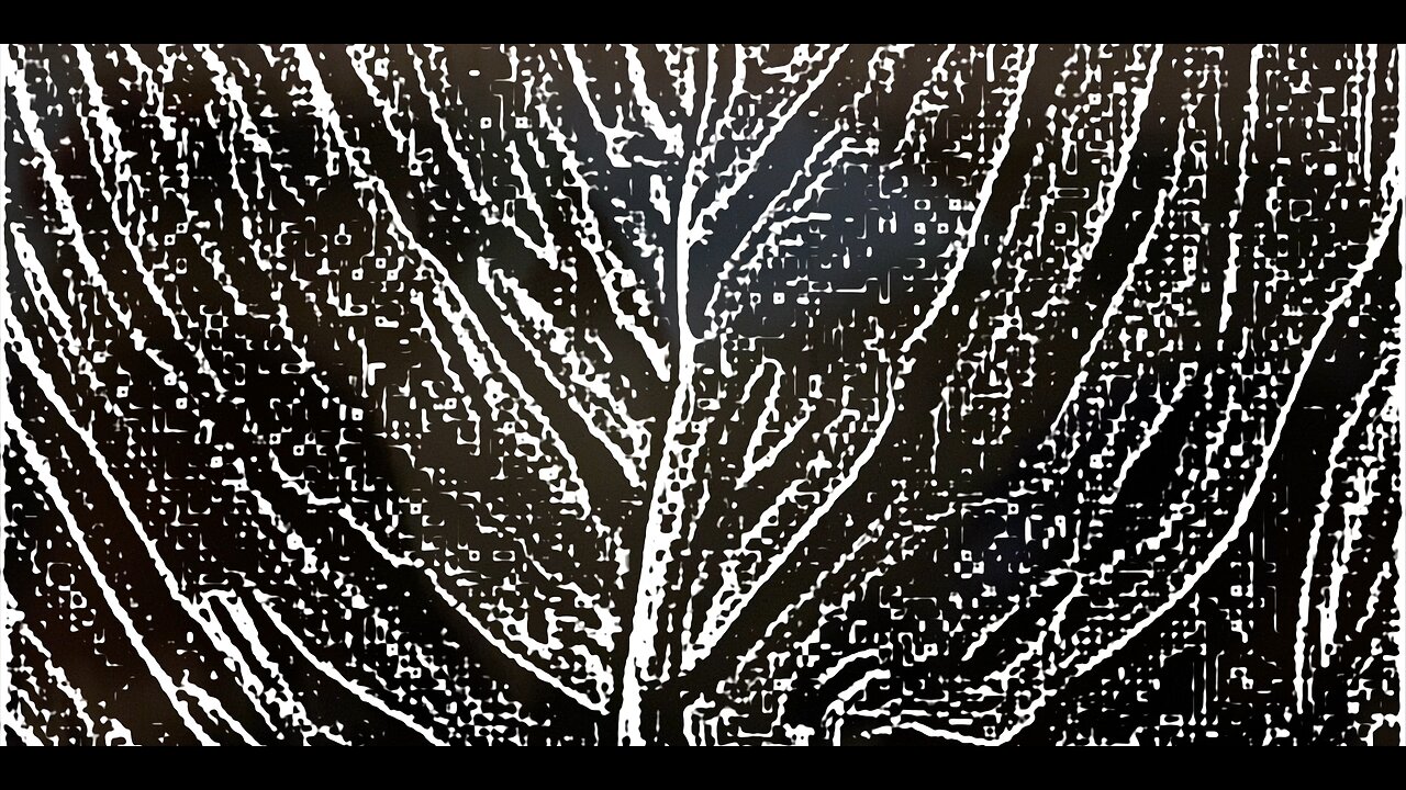 BLOCK é quente na Tailândia! |Fl Ft.​⁠ | Episódio 1 | Jornada para ZIN